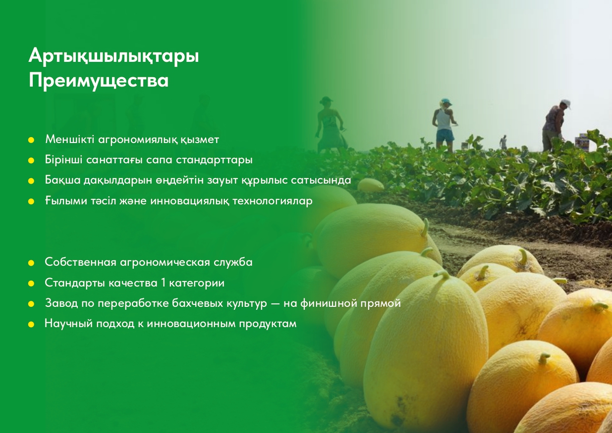 Продукция Dara Juice